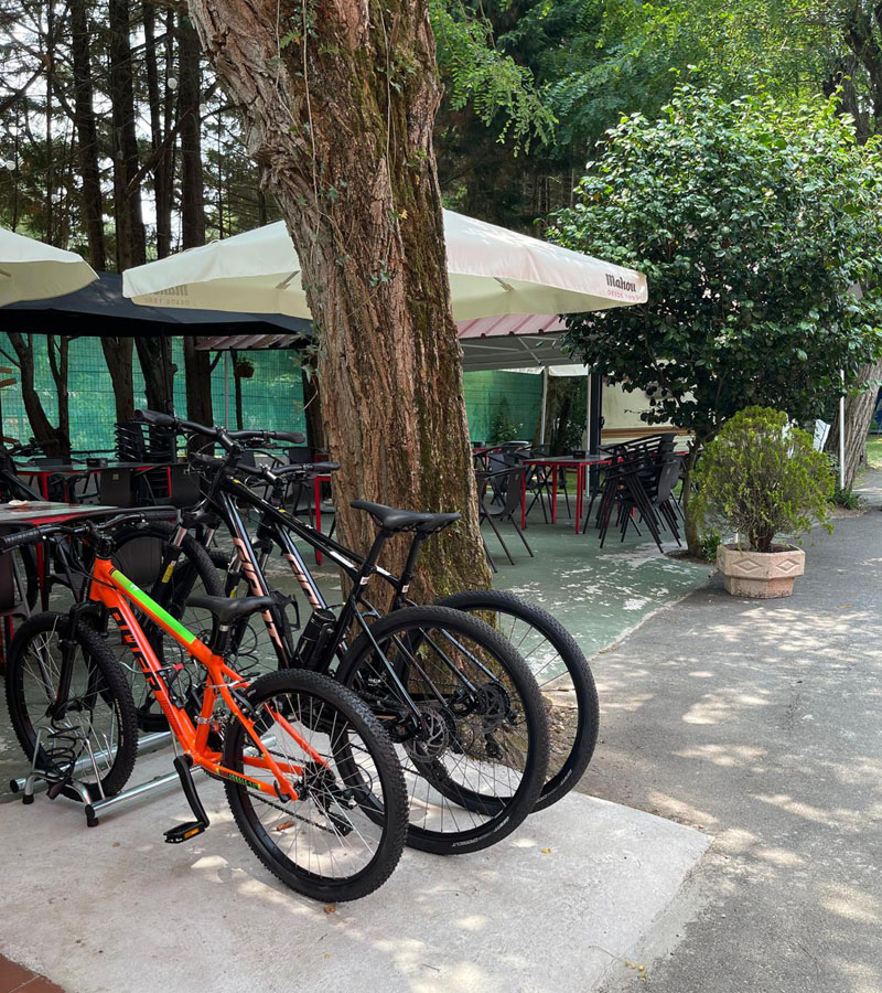 Alquiler bicis Bungalows Camping Barraña, punto alquiler bicis de la tienda de ciclismo Dalle Pedal